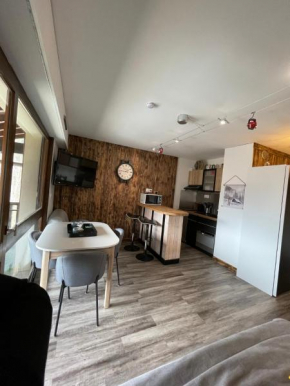 Superbe studio de montagne entièrement rénové Morzine